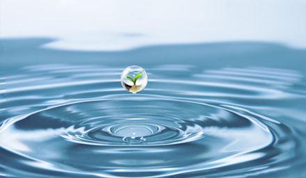 喜報(bào) | 海星股份成功獲評(píng)“江蘇省節(jié)水型企業(yè)”！